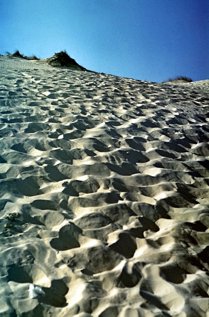 Na písečné duně