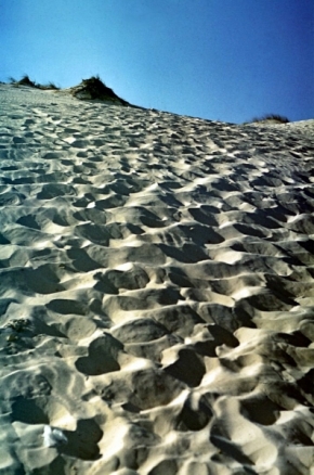 Stopy - Na písečné duně