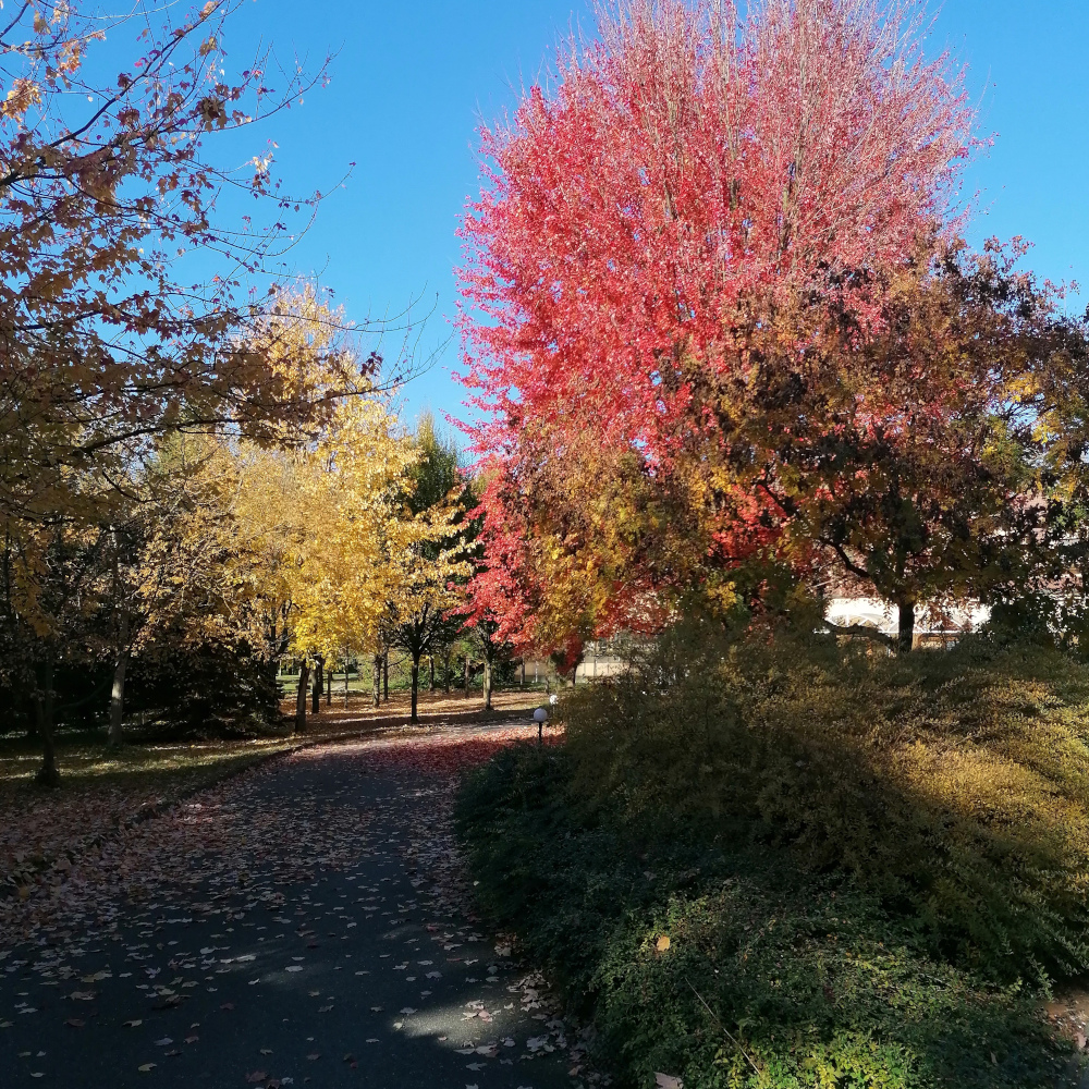 barvy podzimu 2