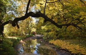 Krajina mých snů - Podzim v zámeckém parku