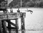 Waiting for the ferry