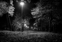 Podzimni park