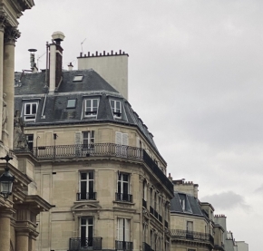 Jdeme do ulic - Střechy Paříže 