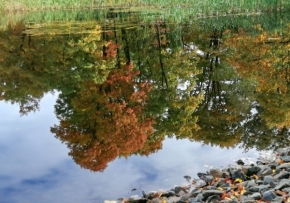 Šárka Nováková - Podzim ve vodě