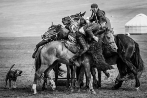 Černobílý příběh - Fotograf roku - Top 20 - III.kolo - Buzkaši - hra pro odvážné jezdce