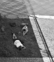 Polední pauza