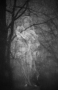 Šárka Rucká - Déšť a madona v lese