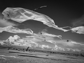 Černobílý příběh - Fotograf roku - Junior - III.kolo - Moment na pláži