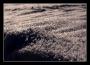 Zdeněk Ondra - Sníh