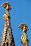 Sagrada