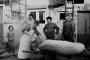 Moravská zabíjačka. Tvrdonice 1974
