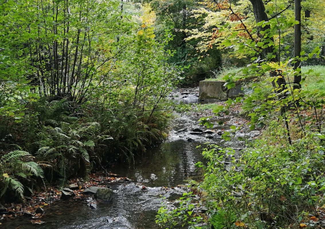 Podzimní potok