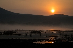Vladimír Strnad - Lake Nakuru, Kenya, 2021