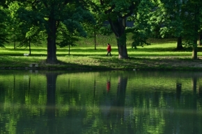 Voda kolem nás - U zeleného rybníka