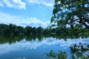 Voda kolem nás - Zámecký rybník v Lednici
