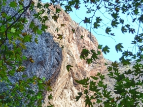 Krajinný detail - Ve skalách