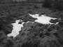 Zdeněk Černý - Krajina: taneček