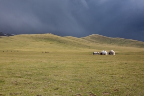 Krajinný detail - Kyrgyzstán 