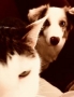 Dve Princezny
