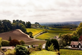 Radek Svoboda - Výhled na vinice v Saint Emilion