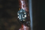 Henrich Dian - Beetle