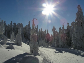 Kouzlení zimy - Zima v Orlických horách