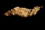 Langtang