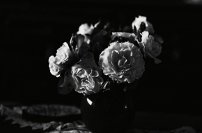 Mária Zajacová - vôňa ruží