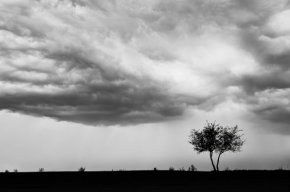 Černobílá - Před bouří