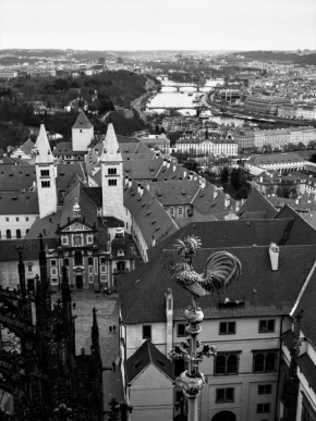 Černobílá - Pohled z věže