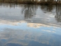 ŘEKA