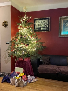 Stromy - Karlínské Vánoce