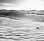 Shadowland IV