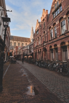 Street - Nizozemské momentky II