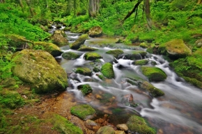 Voda - Zelený potok