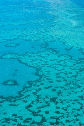 Voda - Korálové útesy