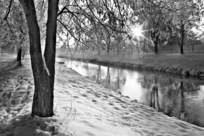 Stromy - Zimní řeka
