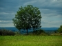 Radejčín