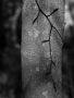 Splynutí II.