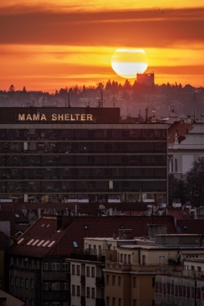 Sandra Wija - Mama Shelter