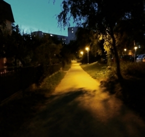 Příroda - Noční procházka