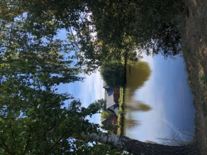 Příroda - rybník