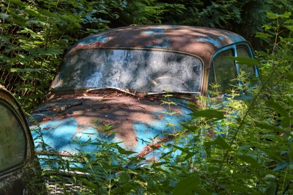 Auto v lese