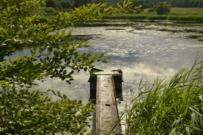 Příroda - rybník