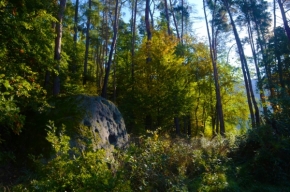 Příroda - Skála v lese