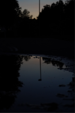 Příroda - Ulice za setmění