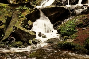 Příroda - Teče voda teče