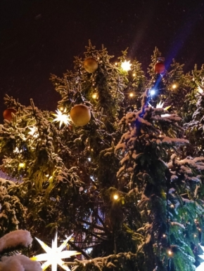 Vánoce  - Pod vánočním stromem
