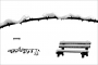 čierne na bielom: zima v parku