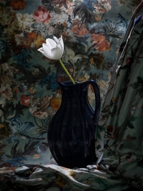 Zátiší - Zátiší s bílým tulipánem